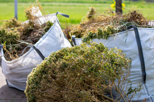 Best Trash Removal Near Me  in Springville, AL