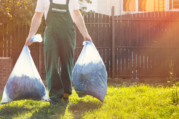 Best Basement Cleanout Services  in Springville, AL