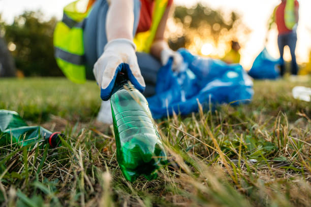 Best Yard Waste Removal  in Springville, AL